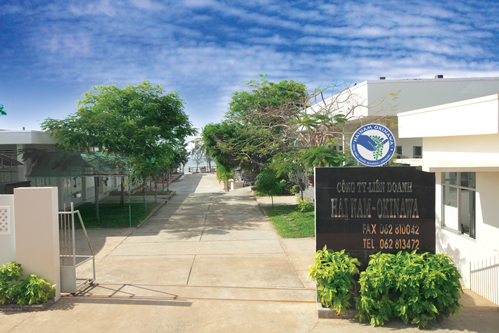 CÂU CHUYỆN RONG NHO HẢI NAM - OKINAWA